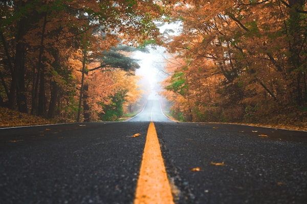 教师引导学生观察雨景