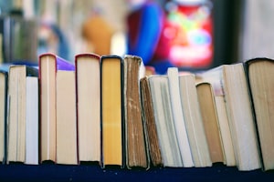 教学法的书：提升教学效率与教育质量的必备指南