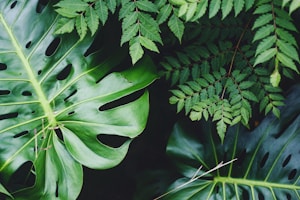 整式的加减教学视频：高效掌握代数基础