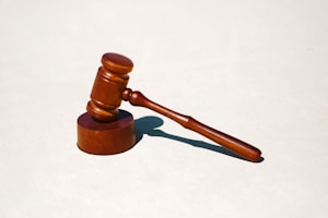 搭船的鸟教学设计：创新课堂活动指南