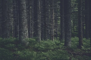 分式教学设计：提升数学课堂效果的实用指南