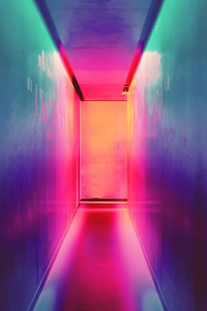 画室教学的艺术：专业指导下的绘画技能全面提升