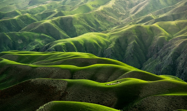 鸟类在自然栖息地飞翔的壮观场景