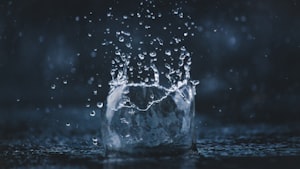 高效细菌教学设计：激发学生探索微观世界的兴趣